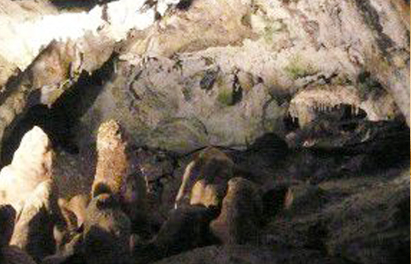 U Nás Vápenná Caves / Jeskyně Na Špičáku