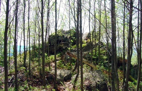 U Nás Vápenná Climbing Bear Rock / Medvědí kámen Lezení