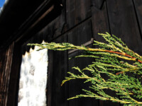 Entrance to the barn / Vchod do stodoly