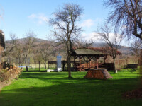 The garden / Zahrada