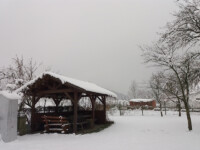 The garden / Zahrada