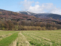 View on the mountains / Pohled na hory