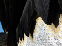 Typical wooden decorations / Typické dřevěné krovy